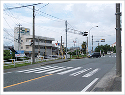 熊本市中心部より
