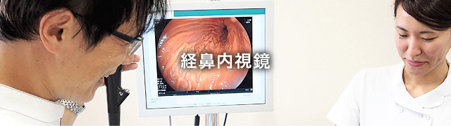 経鼻内視鏡