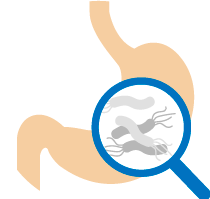 ピロリ菌の治療