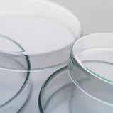 ピロリ菌の検査